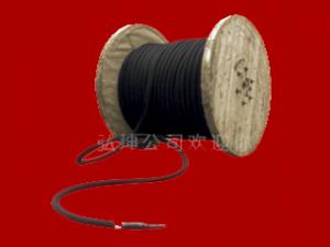 Flexible anode